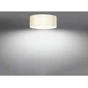 Sollux Lighting Lubinis šviestuvas SKALA 30 baltas