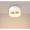 Sollux Lighting Lubinis šviestuvas TELESTO baltas/šviesiai rudas