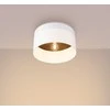 Sollux Lighting Lubinis šviestuvas TELESTO baltas/tamsiai rudas