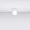 Sollux Lighting Lubinis šviestuvas YOLI 1 baltas