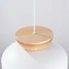 Sollux Lighting Pakabinamas šviestuvas MARION baltas