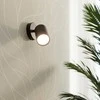 Sollux Lighting Sieninis šviestuvas LEMMI 1 juodas