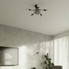 Sollux Lighting Sieninis šviestuvas LOOP juodas