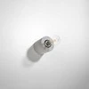 Sollux Lighting Sieninis šviestuvas SALGADO concrete