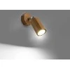 Sollux Lighting Sieninis šviestuvas ZEKE ąžuolas