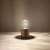 Sollux Lighting Stalinis šviestuvas SALGADO medis