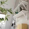 Sollux Lighting Stalo lempa RING juoda
