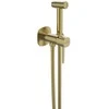 Bidė dušelio komplektas Laveo Pola, Brushed Gold