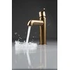 Praustuvo maišytuvas Deante Silia BQS_C20M, Brushed bronze