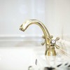 Praustuvo maišytuvas Kuchinox STILO su klik-klak, BKI_522D, Antique brass
