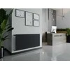 Radiatorius Mexen CH10 Hygiene, 400 x 2400 mm, 1037 W, pajungimas iš šono, antracitas