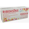 Technolog Pas RIBOXIN tabletės, N50 VIOLAHERB (inozinas)