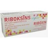 Technolog Pas RIBOXIN tabletės, N50 VIOLAHERB (inozinas)
