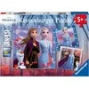 Ravensburger dėlionė 3x49 detalės Ledo šalis