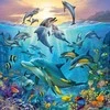 Ravensburger dėlionė 3x49 detalės vandenyno gyvybė