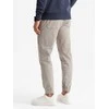 Vyriškos pants ash