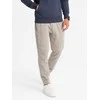 Vyriškos pants ash