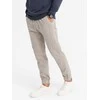 Vyriškos pants ash