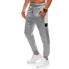 Vyriškos sweatpants p1390 - pilkas