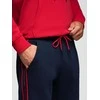 Vyriškos pants - ombre