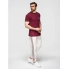Vyriškos pants - ombre