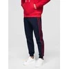 Vyriškos pants - ombre
