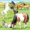 Ravensburger dėlionė 3x49 detalės arkliai