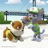 Ravensburger dėlionė 3x49 detalės Paw Patrol
