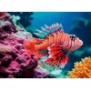 Dėlionė Ravensburger Puzzle 500 vnt Raudona Lionfish