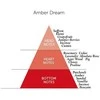 Detaille AMBER DREAM