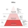 Detaille MILES EDT