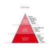 Detaille OSMOSE EDP