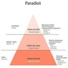 Detaille PARADISII EDC