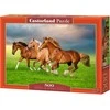 Castorland dėlionė Horses in Spring Rush 500 det