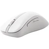 Asus Belaidė pelė | MD102 | Pelė | 2.4 GHz, Bluetooth | Baltas