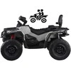 Import Super Toys Jokomisiada Baterija-powered quad for children 2 people CAN-AM OUTLANDER 4x4 LED panel PA0326