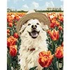 Ideyka Tapybos pagal skaičius rinkinys „Laimingas labradoras“ 40x50 AP0042