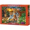 Castorland Dėlionė 2000 vnt. - Tigrų šeima