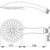 Dušo galvutė Carla