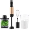 ETA | Hand Maišytuvas | ETA321990020 Mano | Hand Maišytuvas | 1000 W | Greičių skaičius 9 | Juodas/Golden