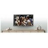 Monitorius LG „HD Ready LED TV“ (24TQ510S-PZ), 23,6 col.