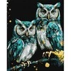 Art Active Painting by numbers metallic Wise owls KHO6514 40x50 AP0031