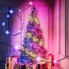 Kalėdinė girlianda Twinkly Candies 100 RGB LED USB- C, žalios spalvos laidas