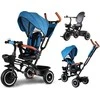 Vaikiškas triratis dviratis Tiny Bike 3in1 su stogu ROTATABLE SP0650