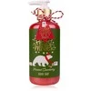 Accentra Rankų muilas HELLO WINTER dozatoriuje, 290 ml