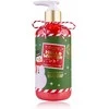 Accentra Rankų muilas HELLO WINTER dozatoriuje, 290 ml