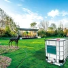 4Baohui Adapteris IBC S60x6 plastikinis su stambiagijiu sriegiu ir PVC tarpine vandens talpyklai