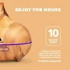 Drėkintuvas Aerosoul CONE 500 ml eterinių aliejų difuzorius