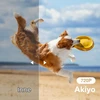 AKIYO mini projektorius O1 su Wi-Fi ir Bluetooth, 720p, Full HD 1080p palaikymu