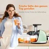 AMZCHEF lėtaeigė vaisių ir daržovių sulčiaspaudė, 150 W, žalia, ZM1501